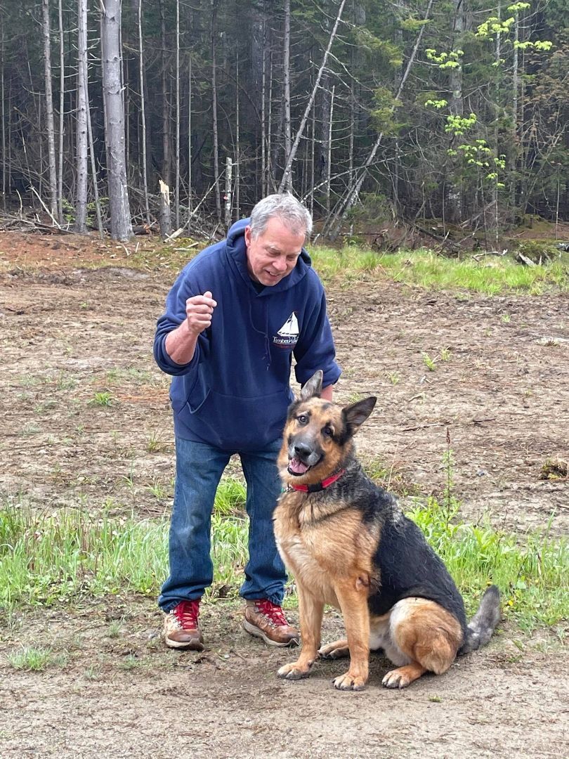 Dog for adoption - Godzilla, a German Shepherd Dog in Searsmont, ME | Petfinder