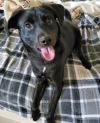 Reggie photo 1