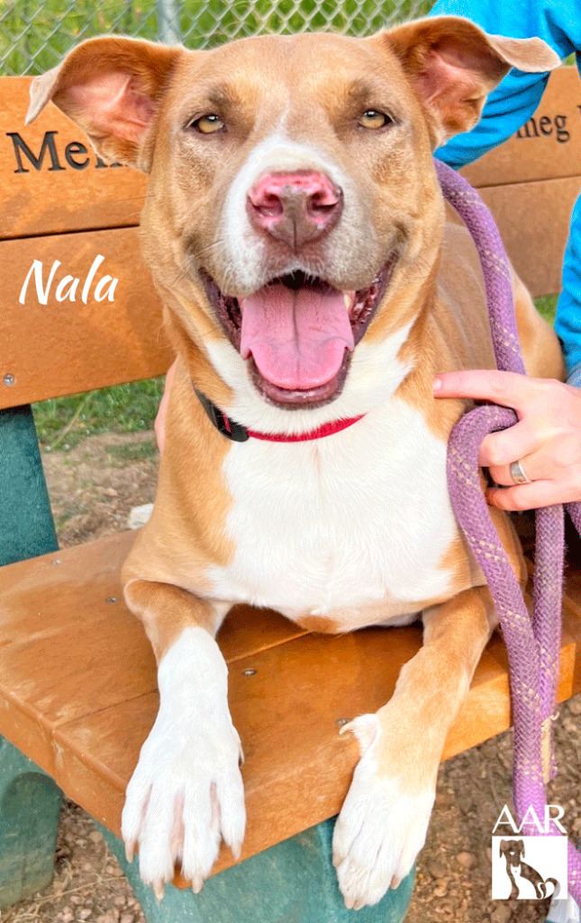 Nala