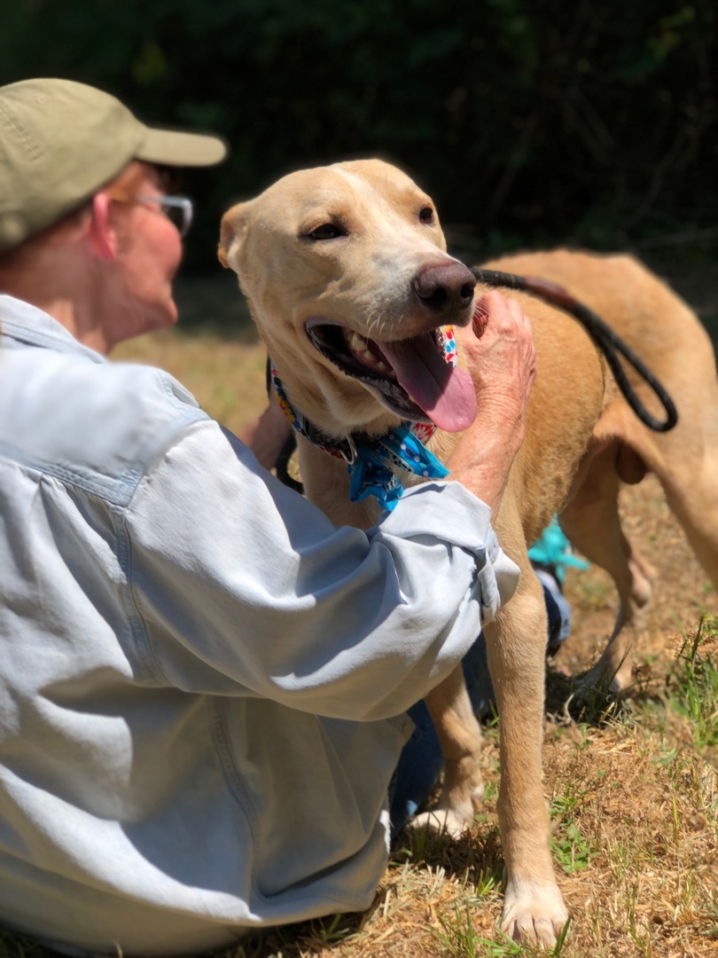 ZEKE- a sweetheart!