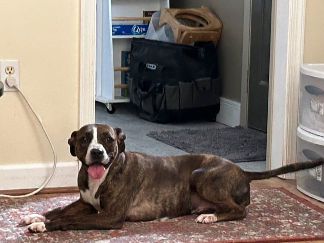 Luna B