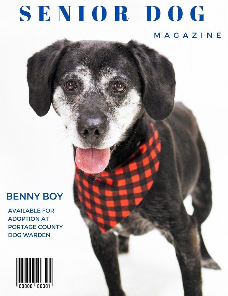 Benny Boy 166990