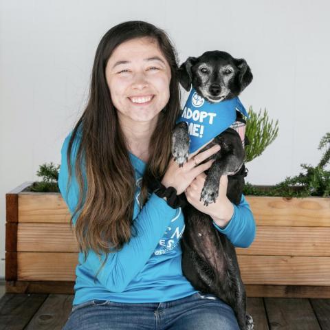 Myra, an adoptable Dachshund, Chihuahua in Pacific Grove, CA, 93950 | Photo Image 3