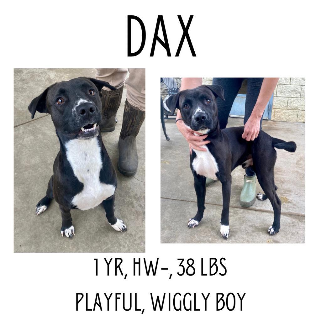 Dax