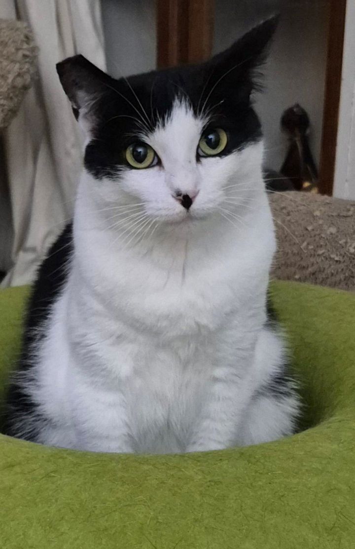 Ava (Courtesy Post) 2