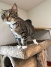 MINNIE MITTENS photo 6