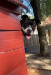 Maggie