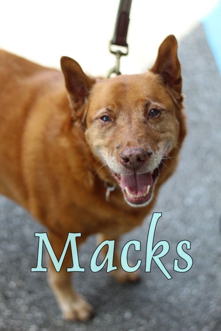 Macks