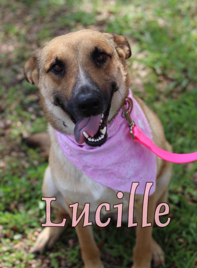 Lucille