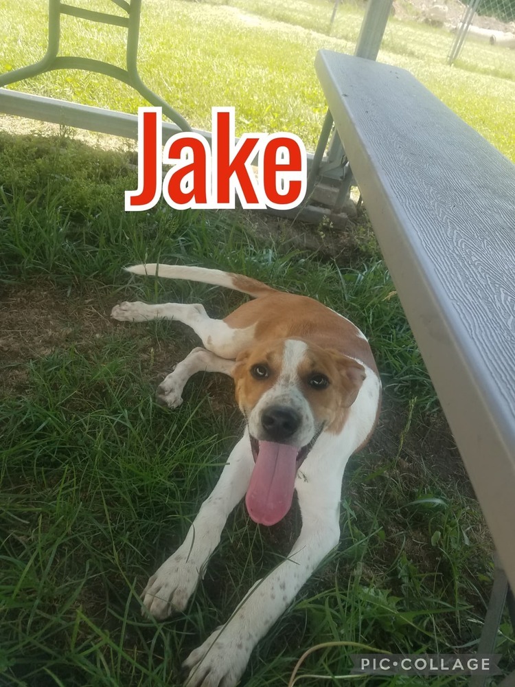 Jake