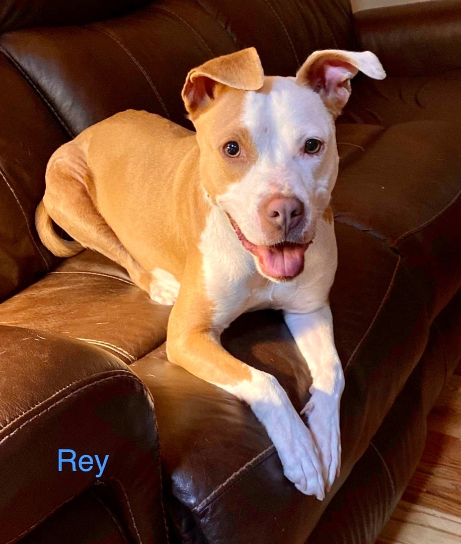 Rey (of Sunshine!)
