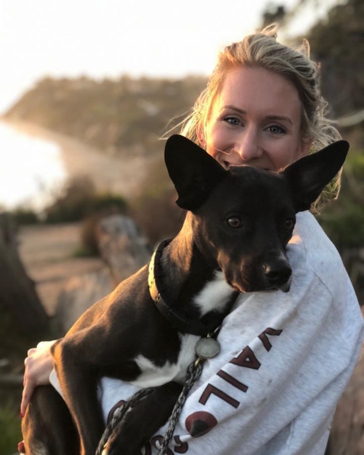 Sweet Potato pup: Orion/Berm 5