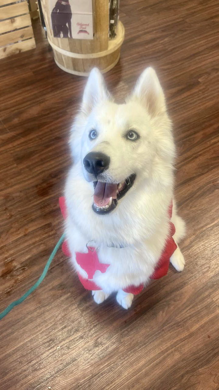 Jackson **Special medical needs** 3