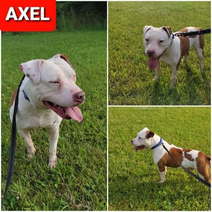 Axel