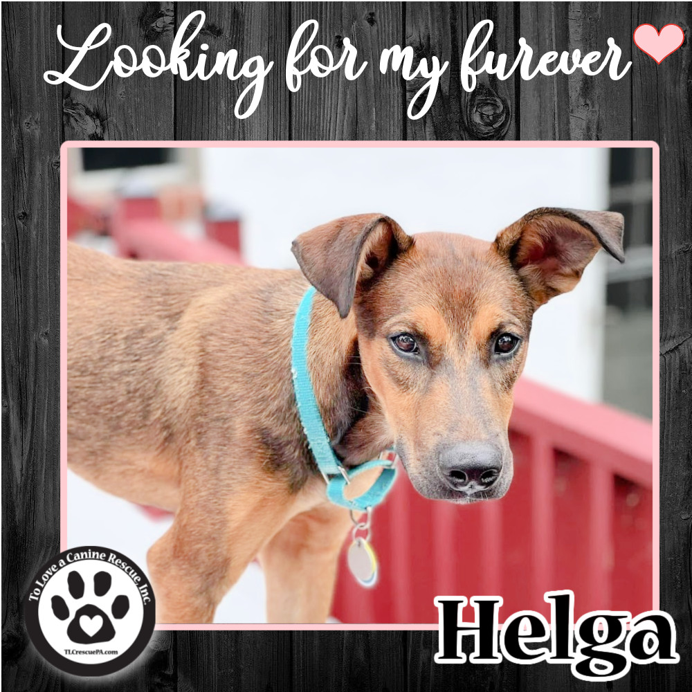 Helga 061922