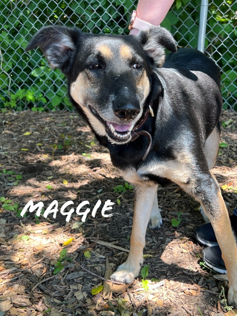 Maggie\