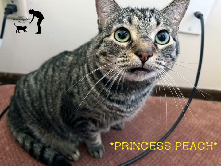 Princess Peach 1