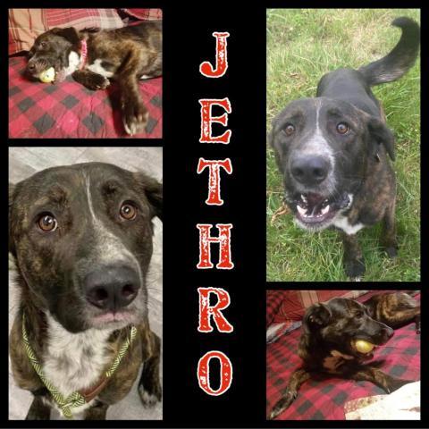 JETHRO