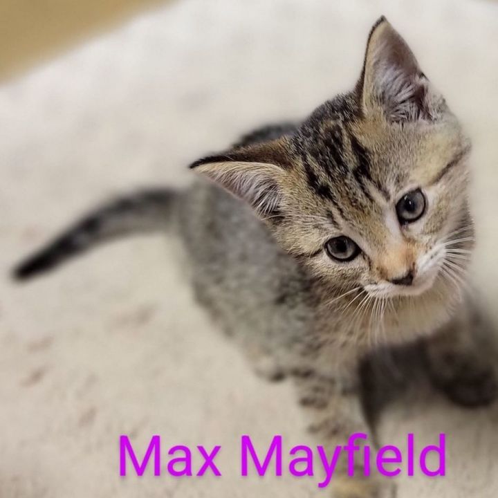 Max Mayfield (Female) 1