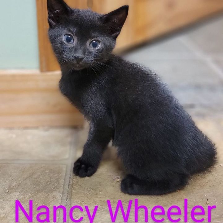 Nancy Wheeler 1