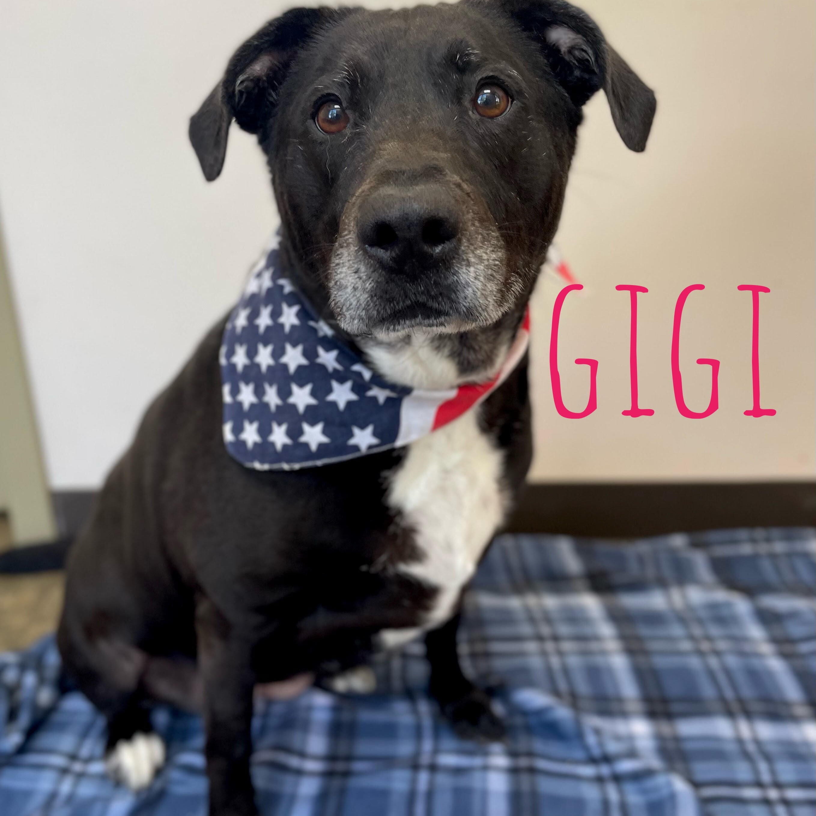 Gigi