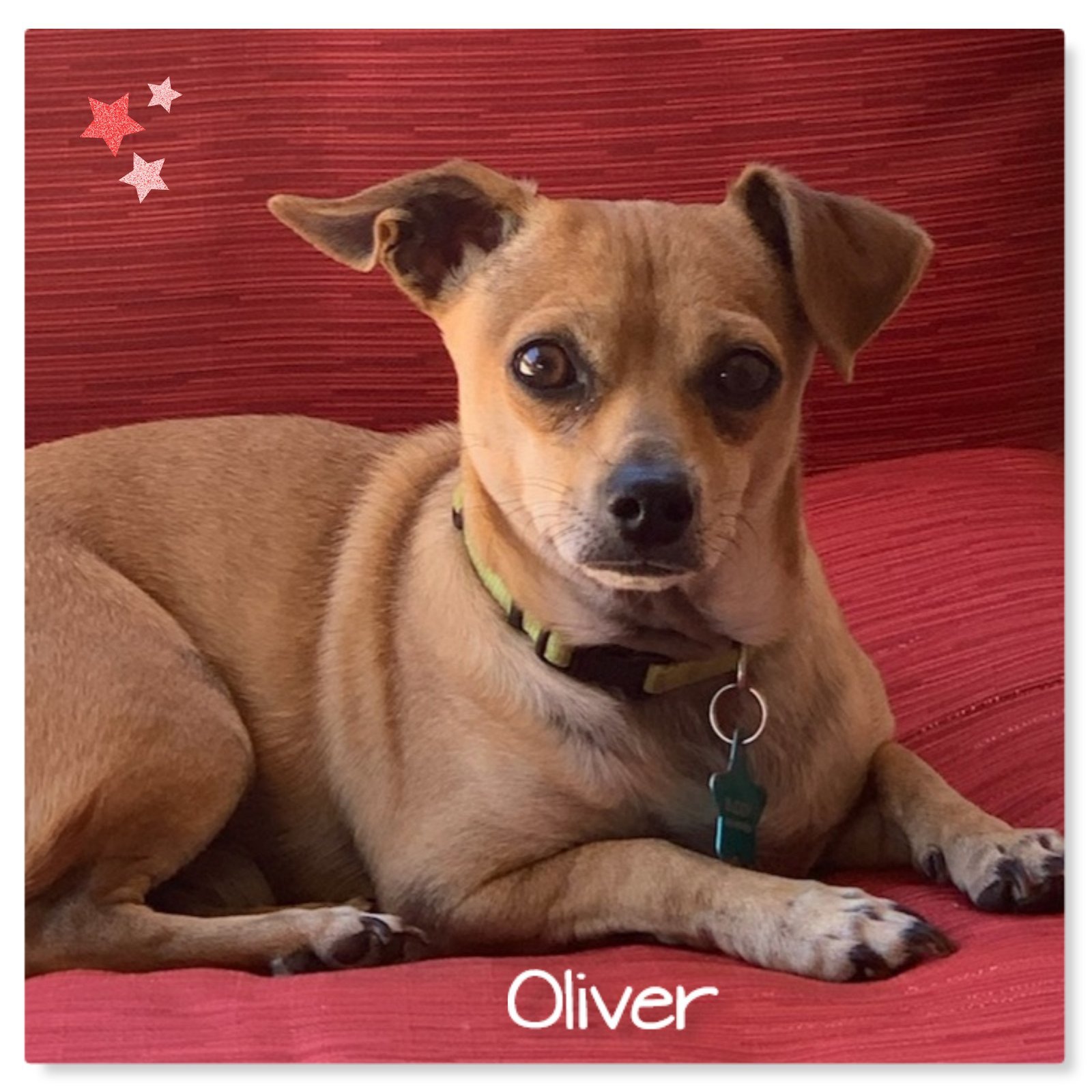 Oliver