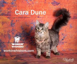 CARA DUNE