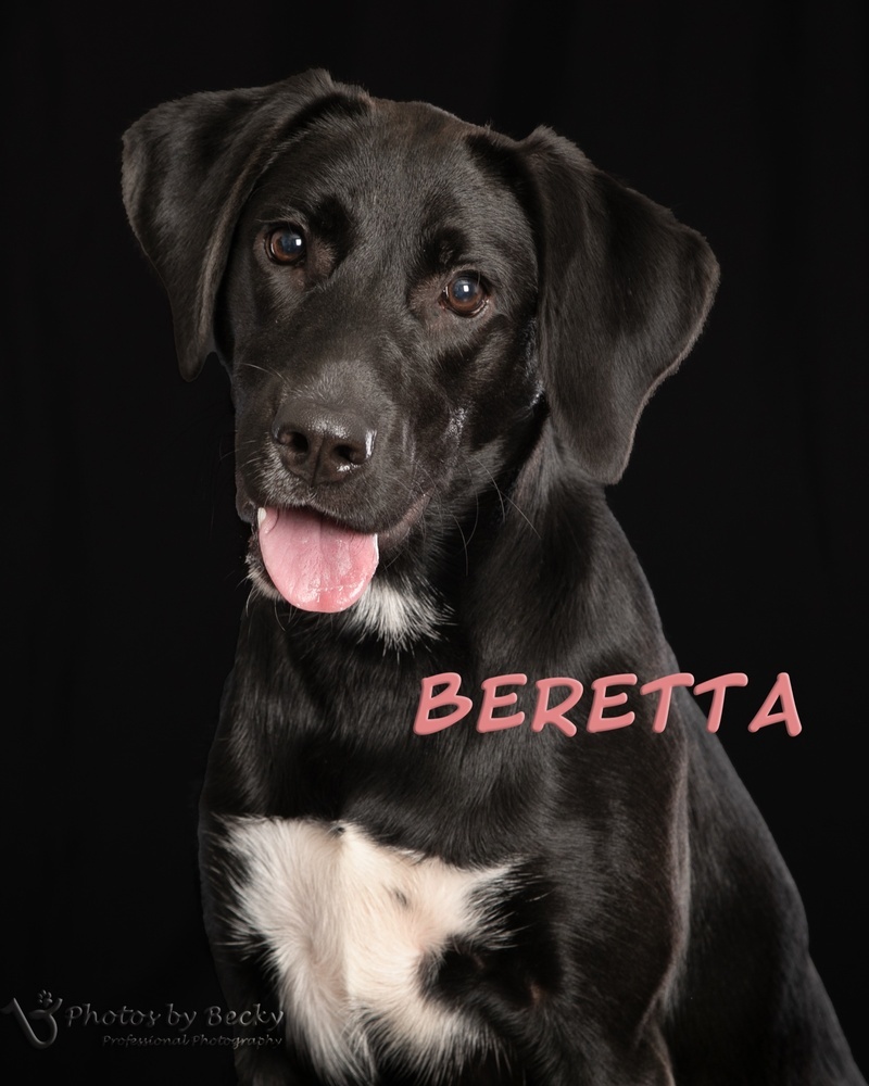 Beretta