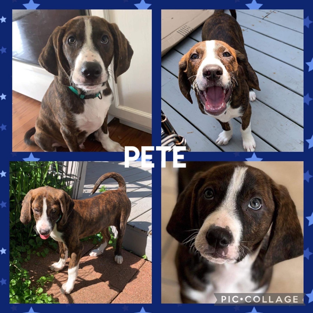 Pete