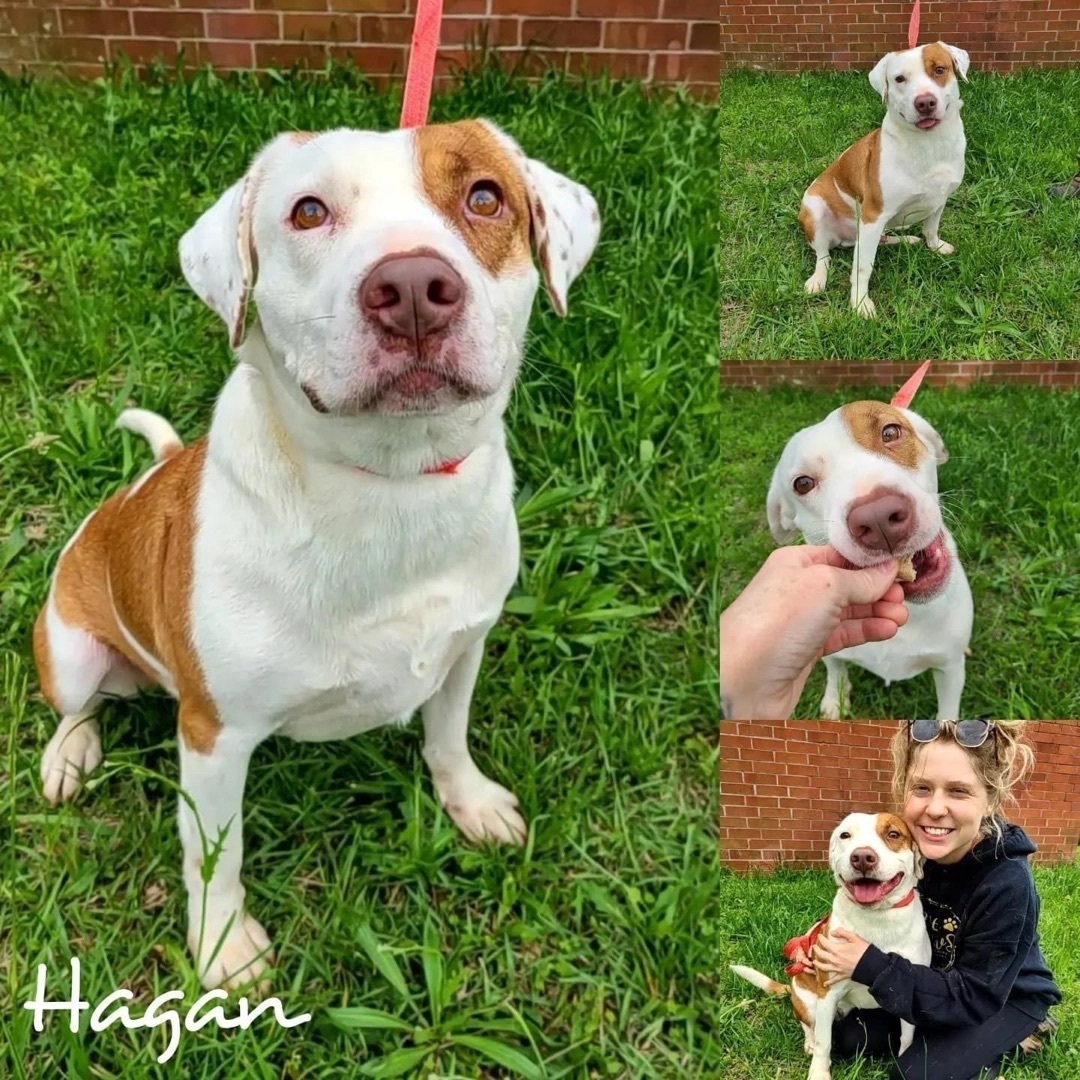 Hagan