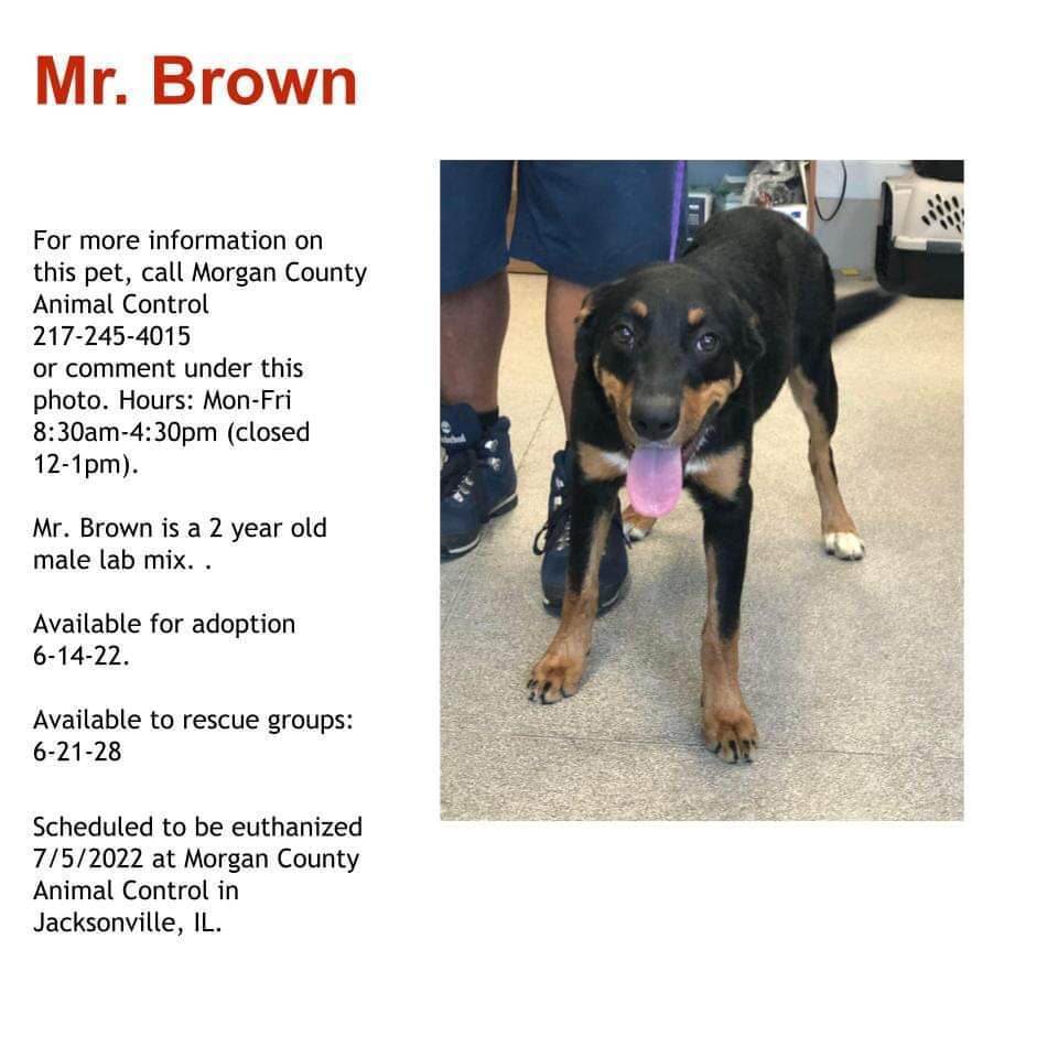 Mr. Brown