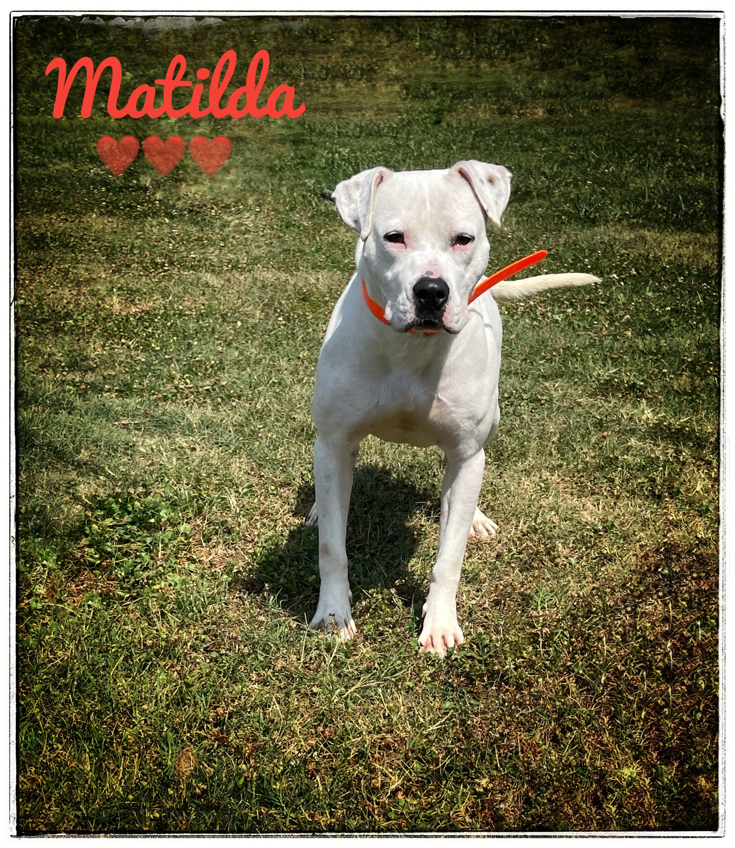 Matilda