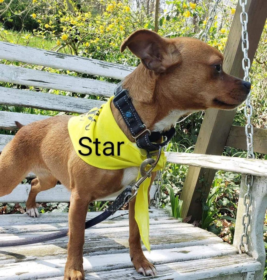 Star