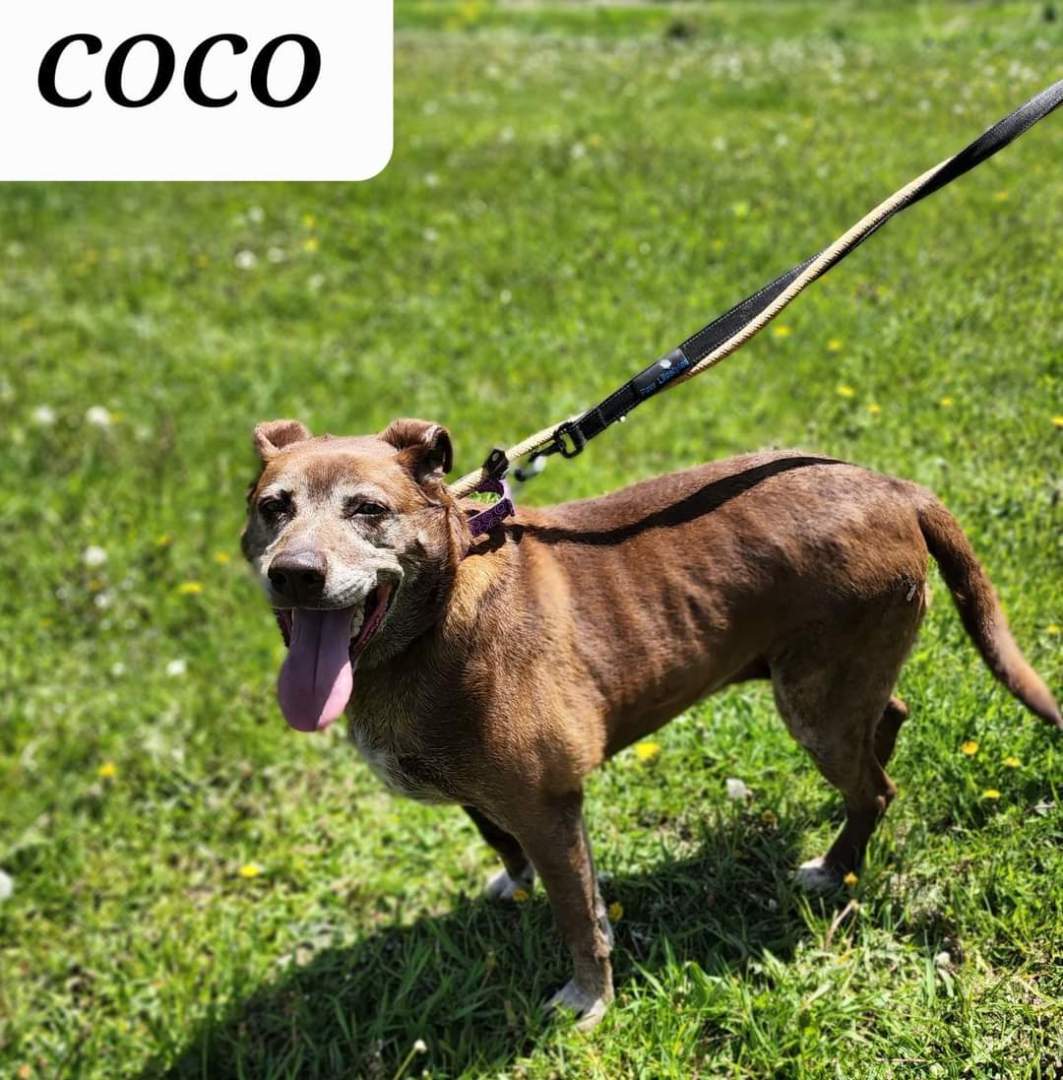 Coco