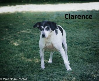 Clarence