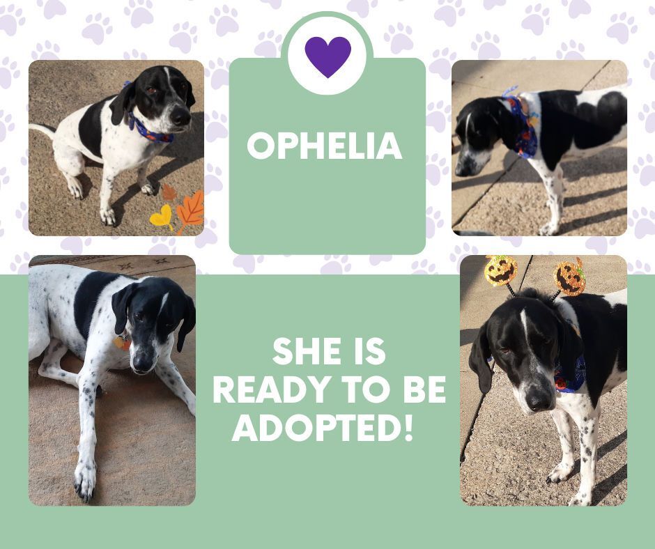 Ophelia (OH)