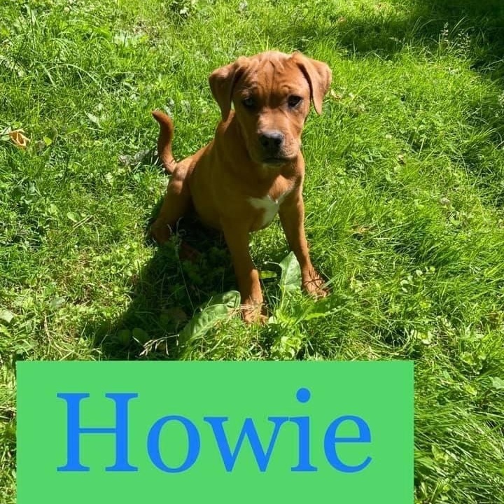 Howie