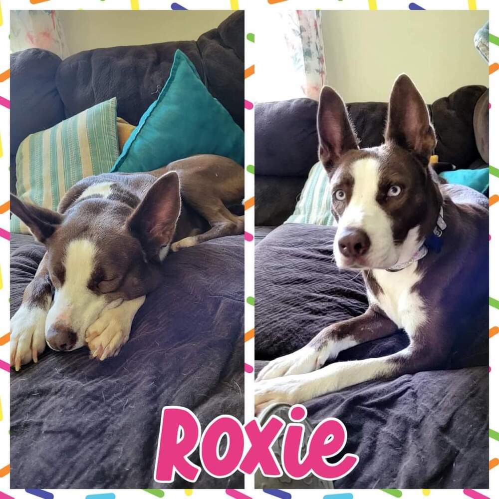 Roxie