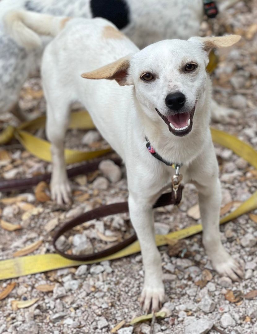 Betty (TX)