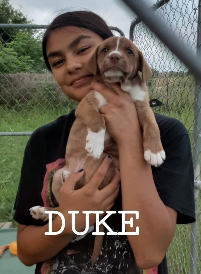 Duke