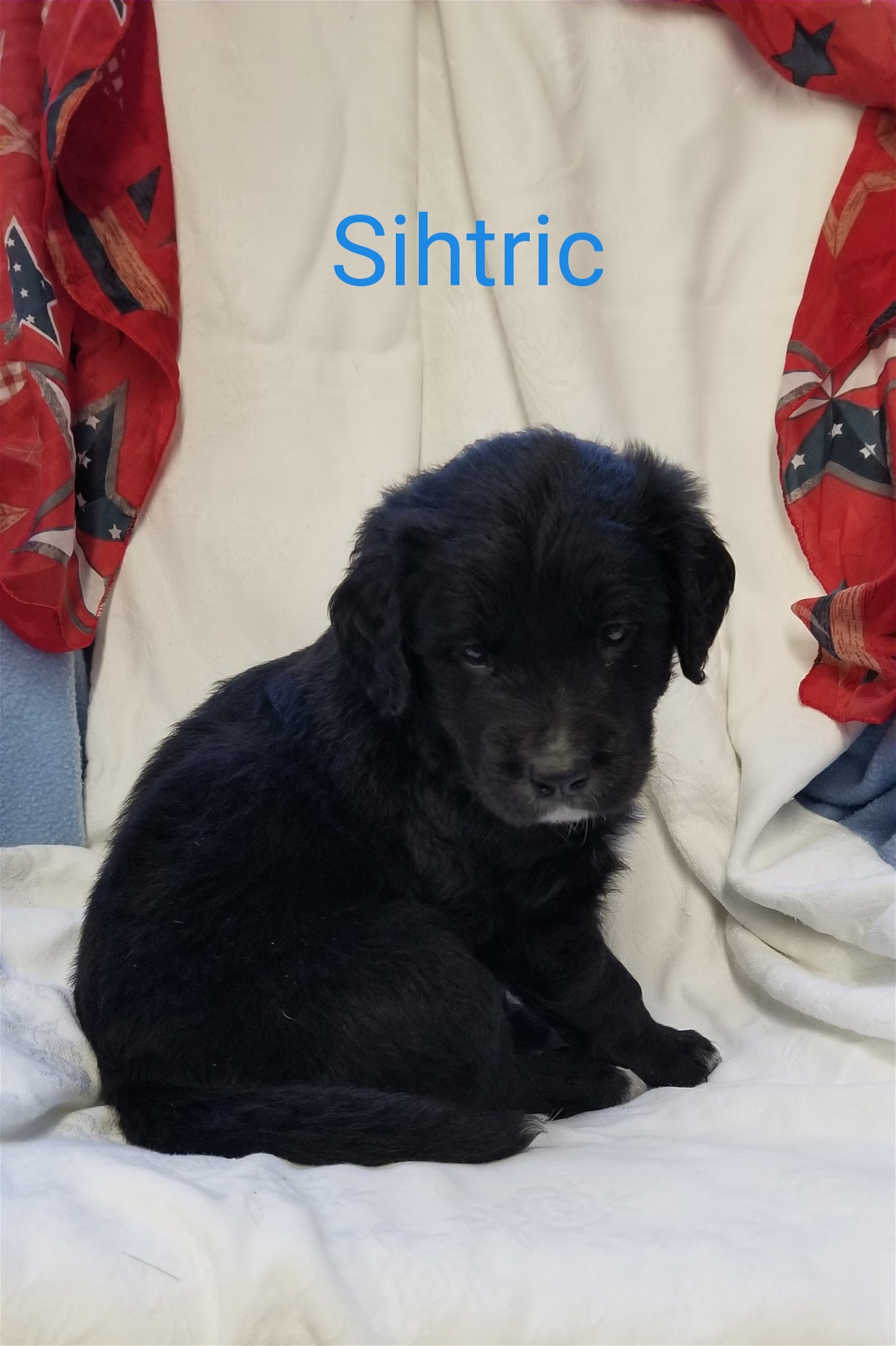 Sihtric ready to go 7/11