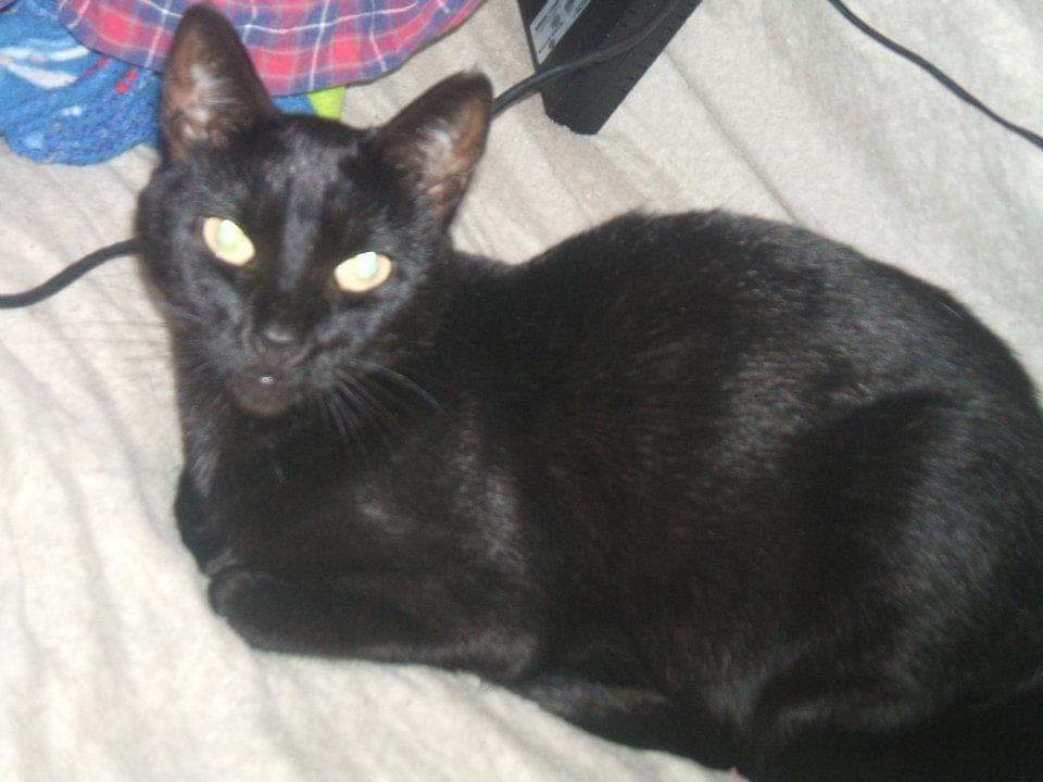 Luna & Lilu
