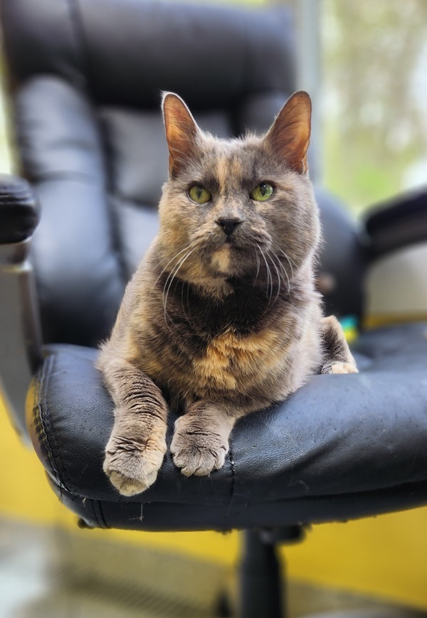 Rosie