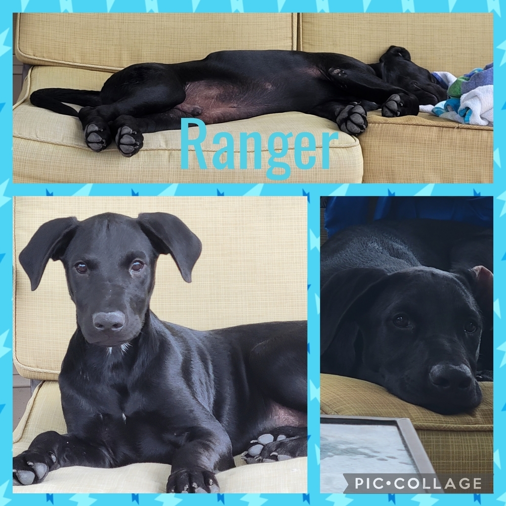 Ranger