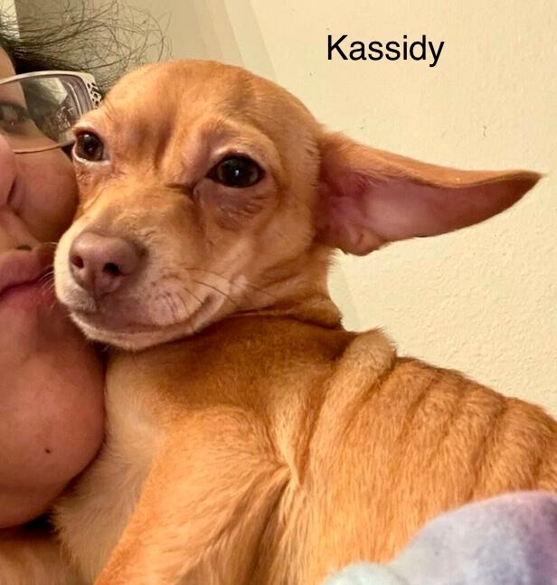 Kassidy