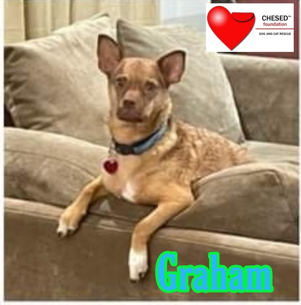 Graham Chi Mix