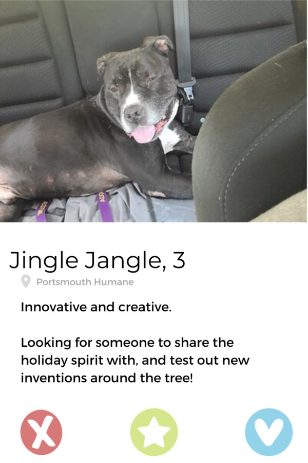 Jingle Jangle