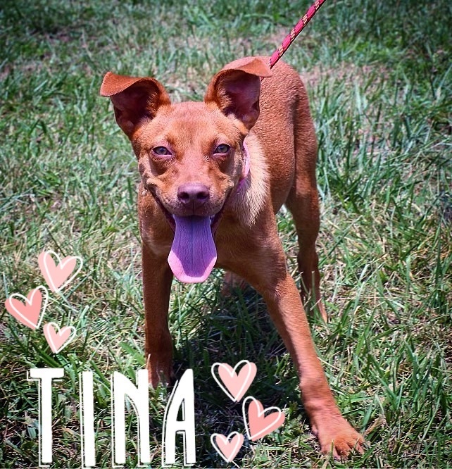 Tina