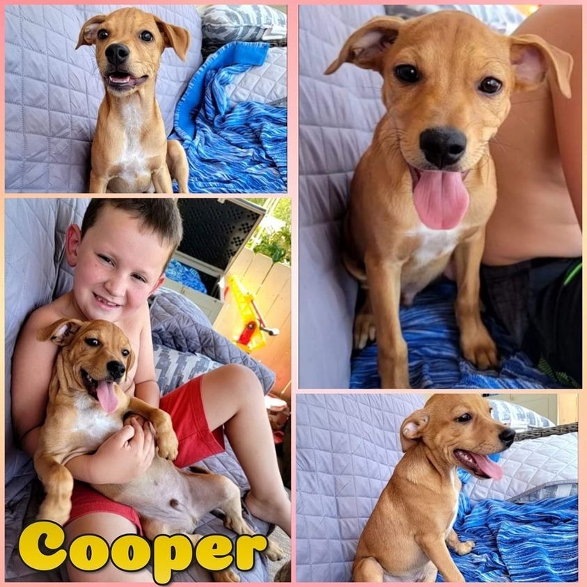 Cooper