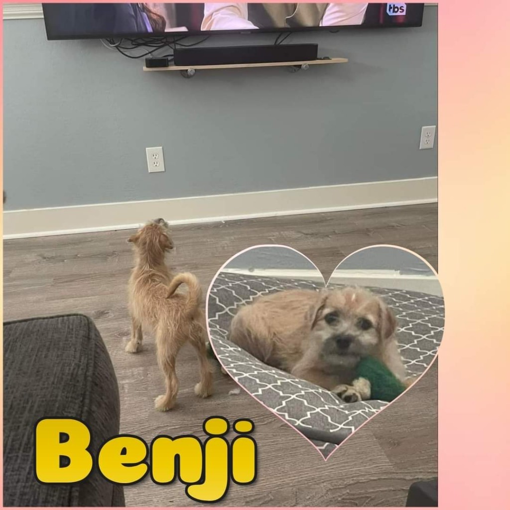 Benji